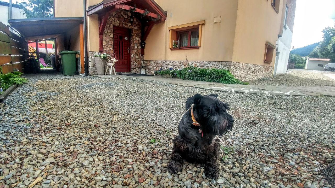 Pod Klimczokiem I Bed & Breakfast Szczyrk Exterior photo